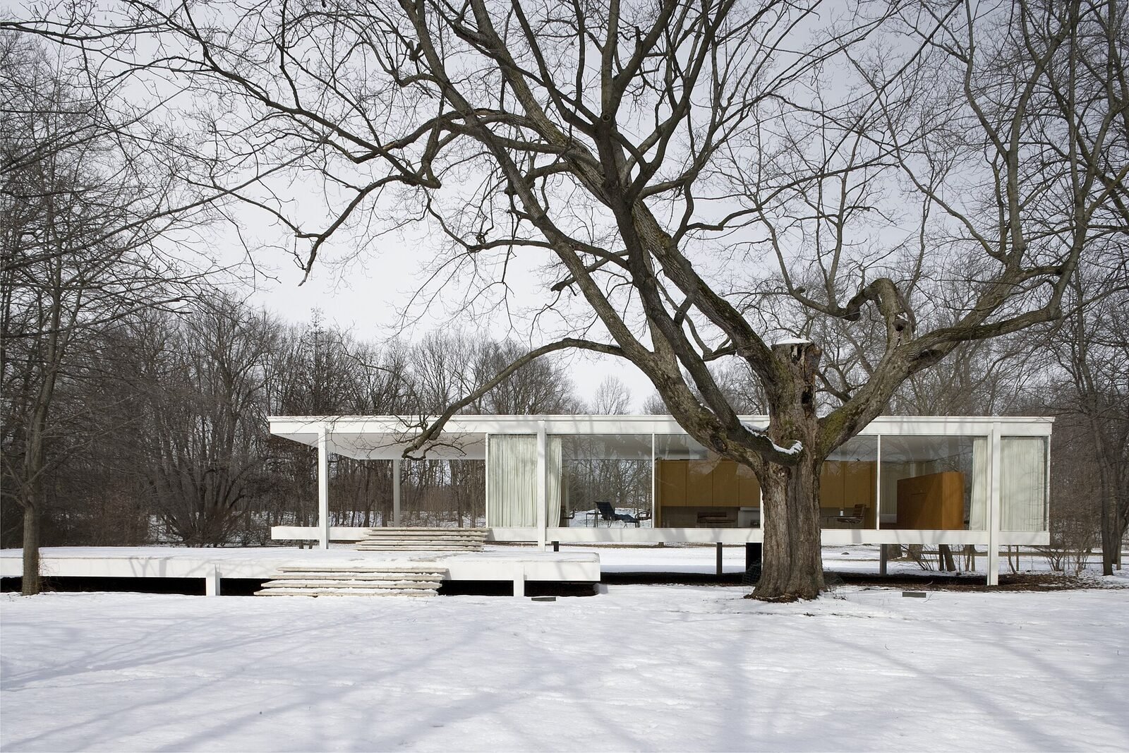 Single storey glass house among bare trees